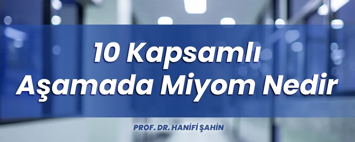 10 Kapsamlı Aşamada Miyom Nedir