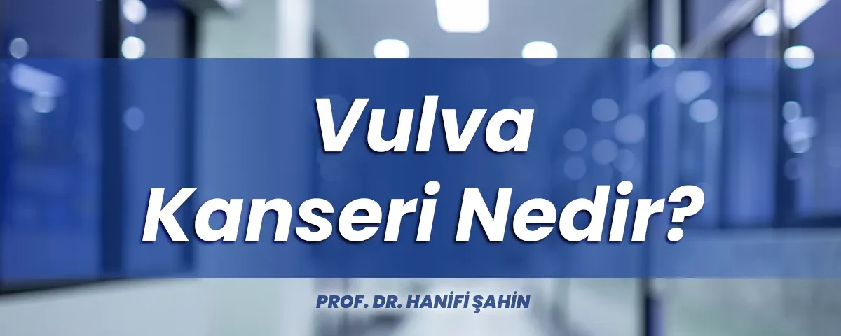 Vulva kanseri
