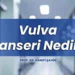 Vulva kanseri