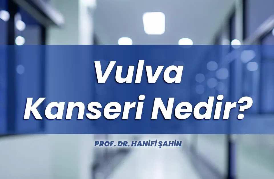 Vulva kanseri